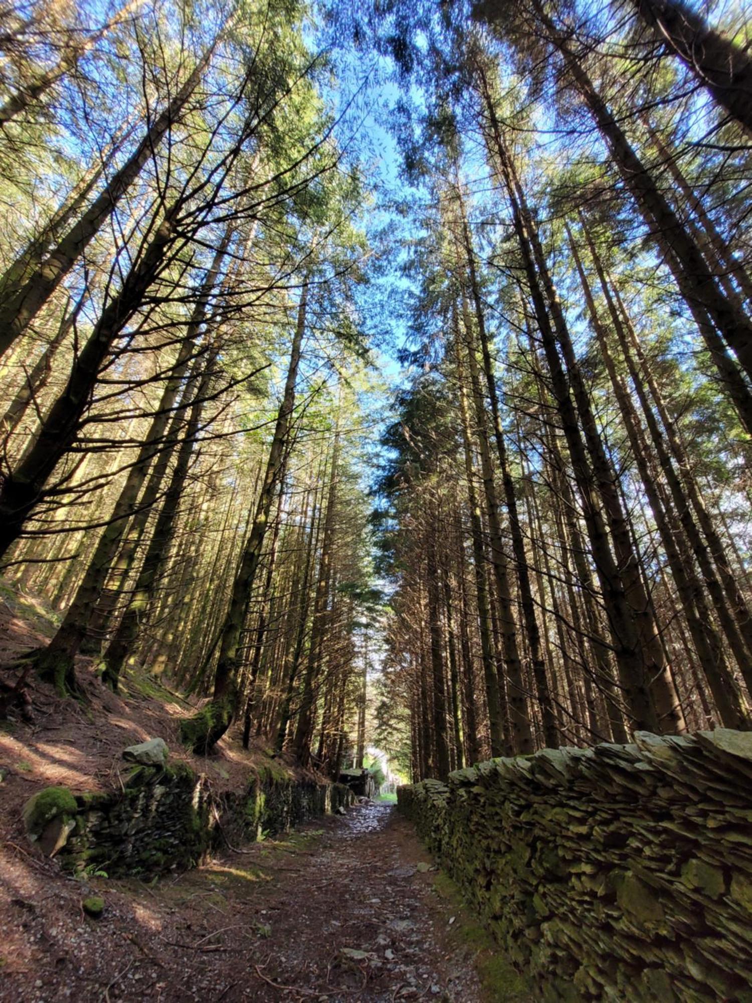 The Granary Corris On The Edge Of The Dyfi Forest 外观 照片
