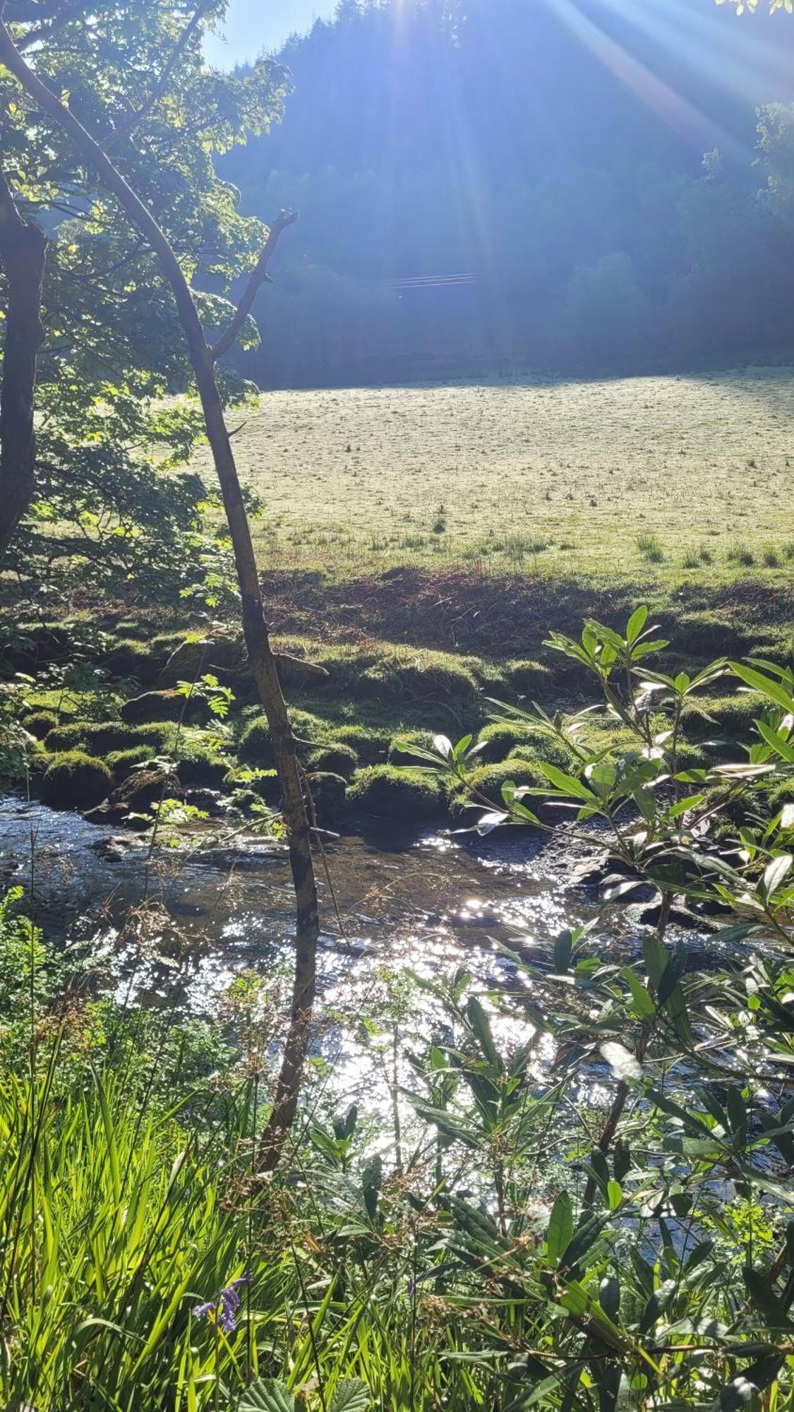 The Granary Corris On The Edge Of The Dyfi Forest 外观 照片