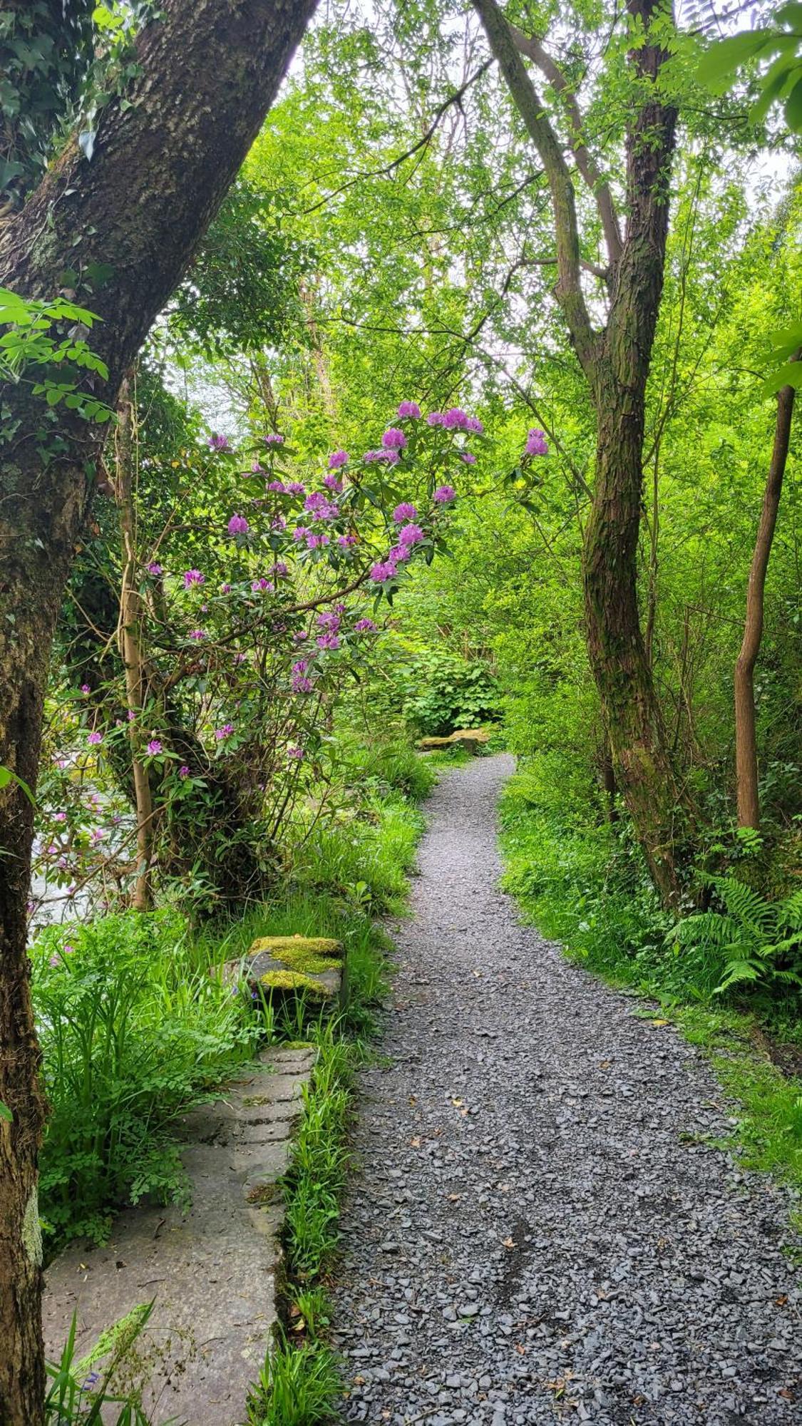 The Granary Corris On The Edge Of The Dyfi Forest 外观 照片